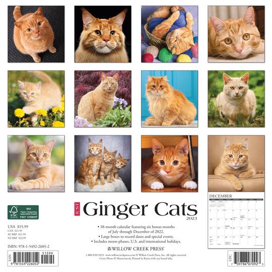 2023 Just Ginger Cats Wall Calendar Wall Calendars Michaels